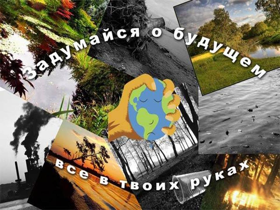 Экология Саратовского региона: как сделать жизнь безопаснее?