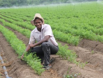 Студент СГАУ из Ботсваны помогает энгельсским фермерам собирать урожай