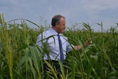 Поздравление Губернатора Валерия Радаева с первым миллионом тонн зерна, собранным на полях региона