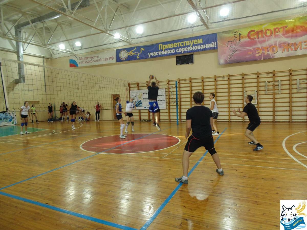 СГАУ ССК «Вавиловец» организовал товарищеский матч по волейболу Фото 2