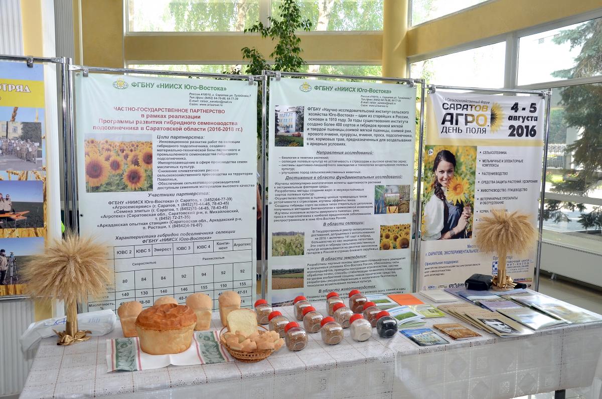 В Правительстве Саратовской области прошла выставка научных и спортивных достижений Фото 1