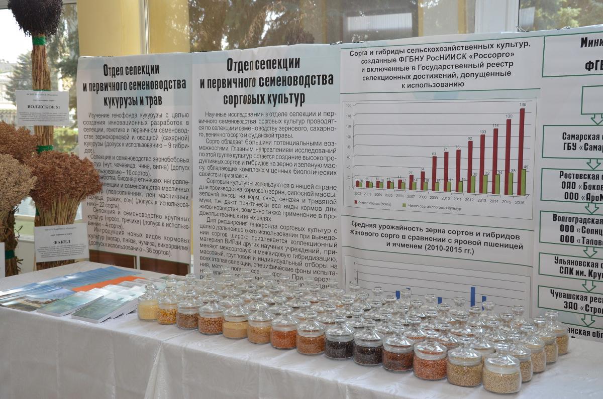 В Правительстве Саратовской области прошла выставка научных и спортивных достижений Фото 2
