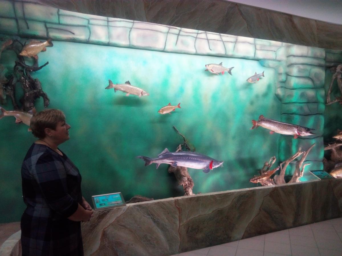 Кураторский час в музее «Рыбы России» Фото 1