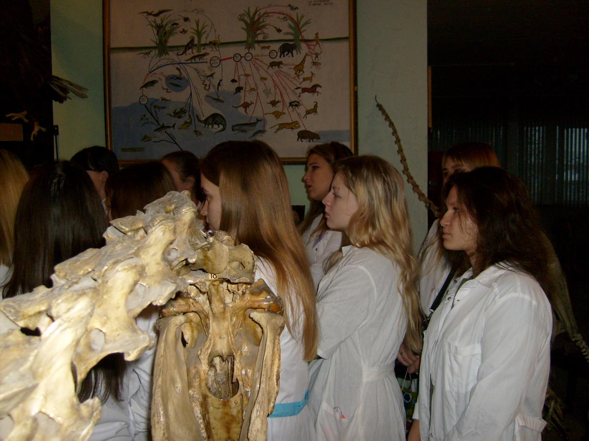 Экскурсия по углубленному изучению коллекции анатомического музея Фото 2