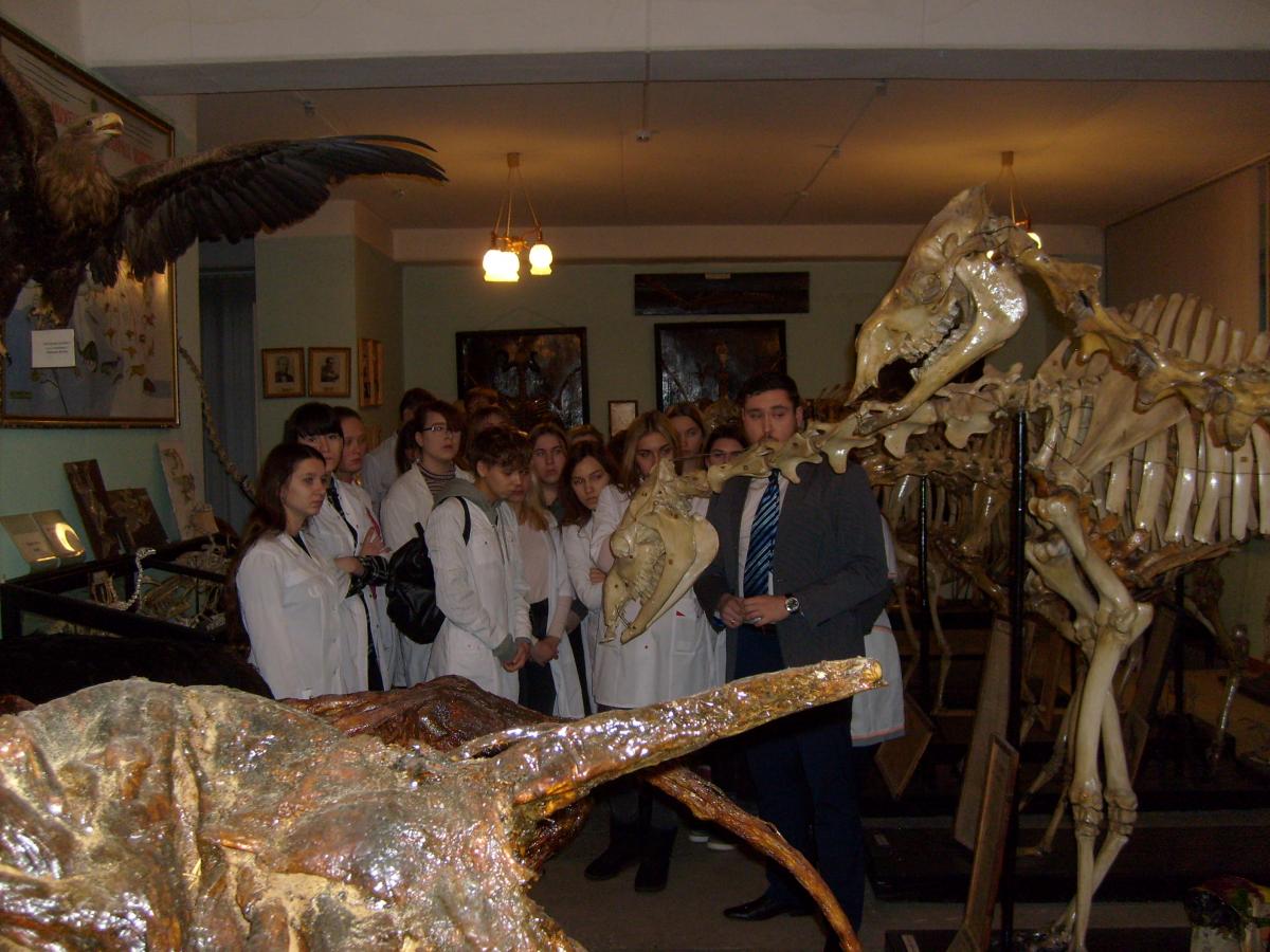 Экскурсия по углубленному изучению коллекции анатомического музея Фото 3