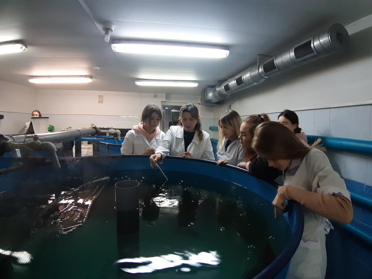 Практическое занятие на базе научно-исследовательской лаборатории «Технологии кормления и выращивания рыбы» Фото 4