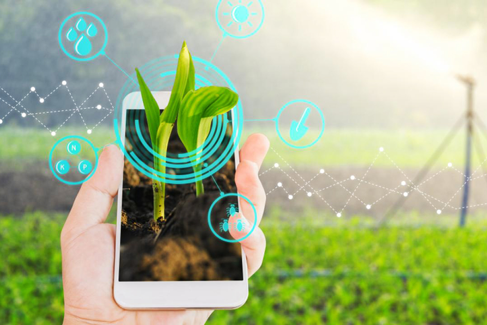 Цифровые технологии помогут в развитии сельскохозяйственных предприятий Иркутской области