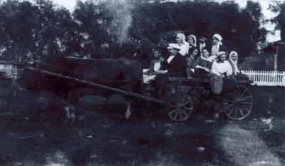 Группа студентов на практике едут на дойку коров 1914г