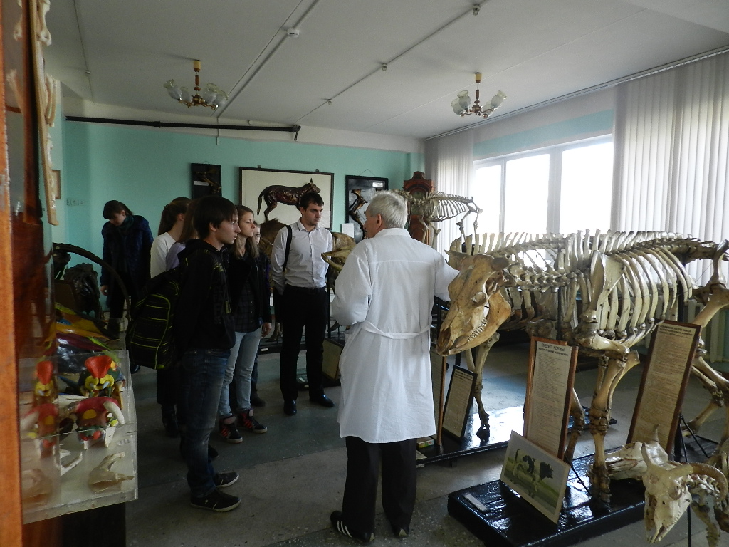 25 октября в УК №3,экскурсия в музее для учащихся школы № 45