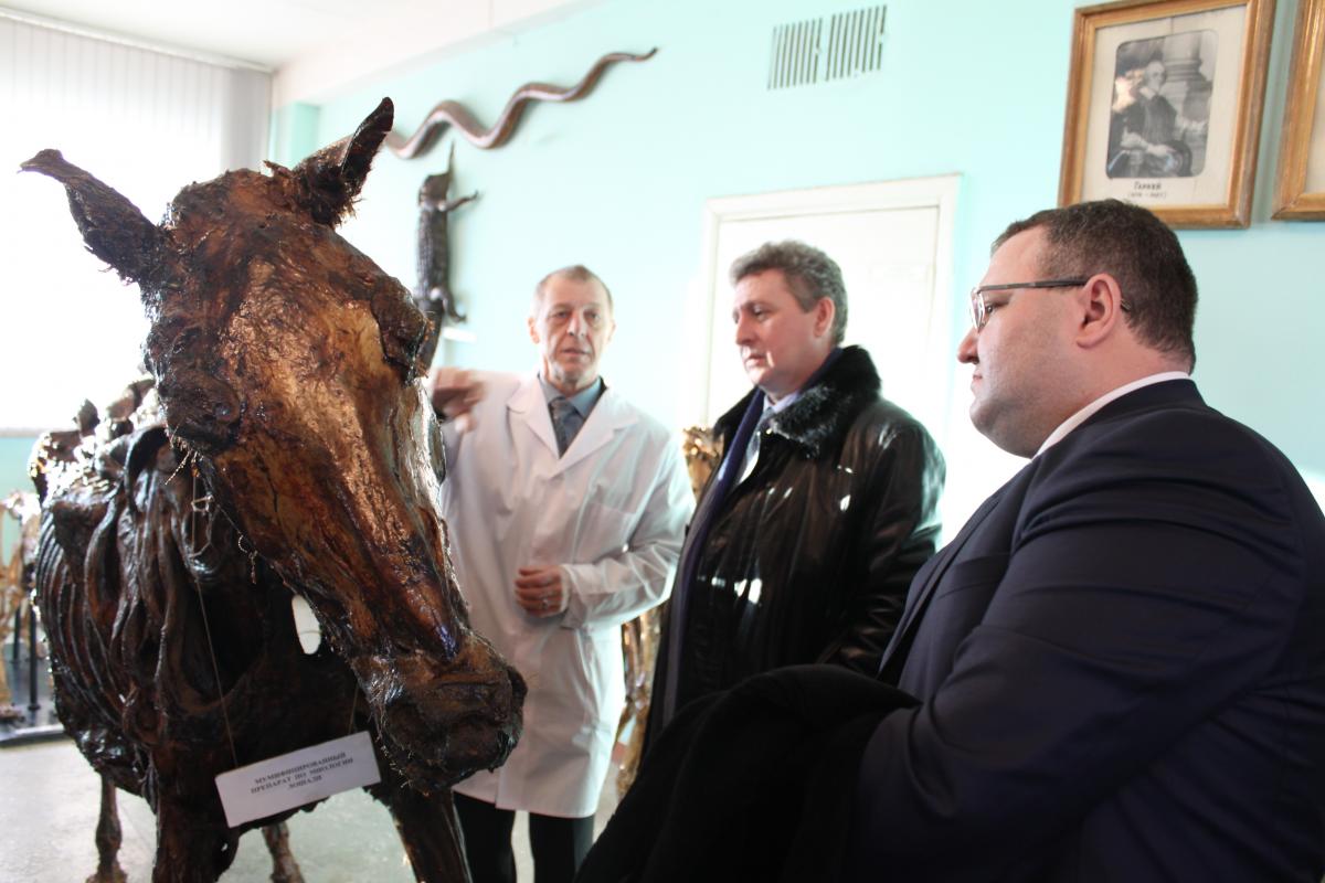 Экскурсия в анатомическом музее  делегации Самарской области Фото 3