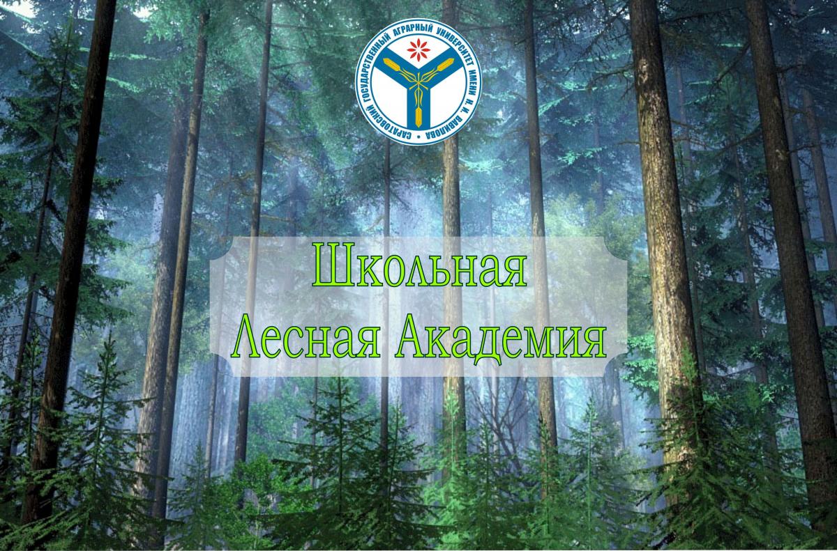 Начинается реализация проекта  «Школьная лесная академия»