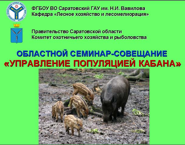 Областной семинар-совещание с Комитетом охотничьего хозяйства и рыболовства Саратовской области. Фото 7