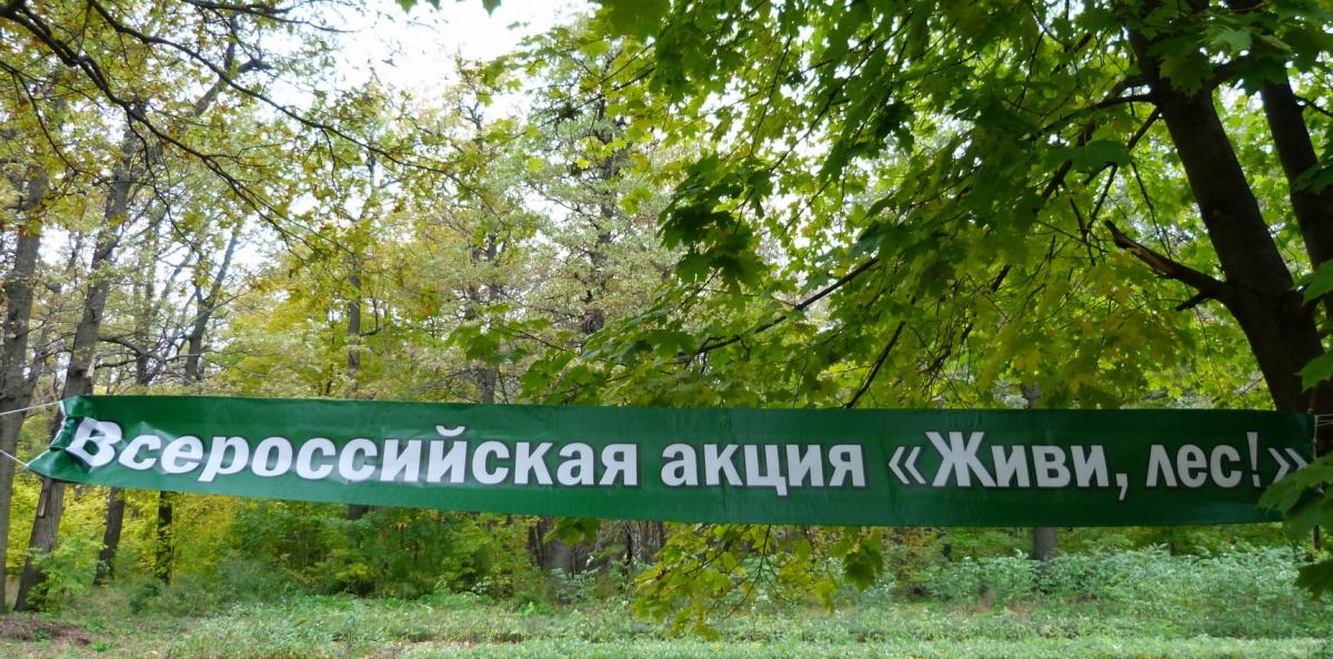 Всероссийская акция "Живи лес" на Кумысной поляне