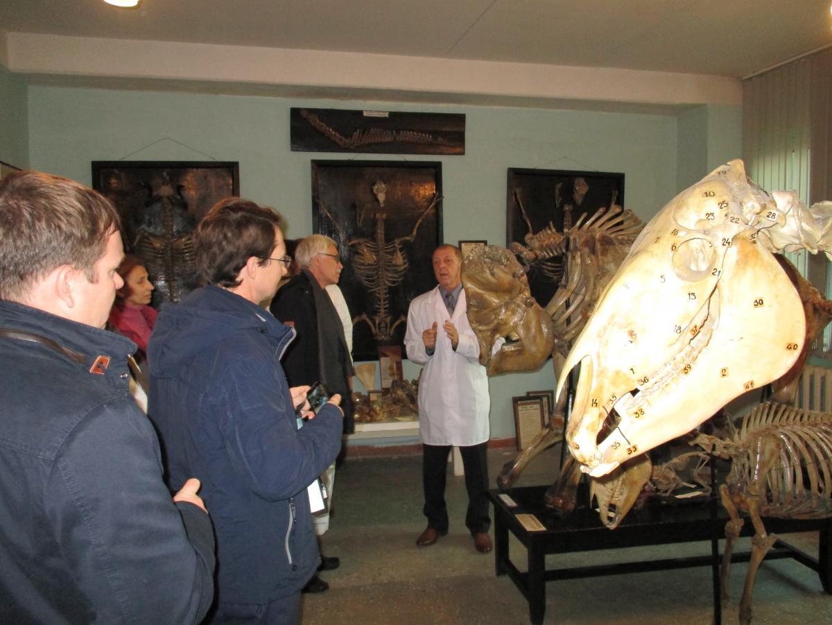 Экскурсия в анатомическом музее для  участников Пленума научно-методического совета по рыбному хозяйству. Фото 3