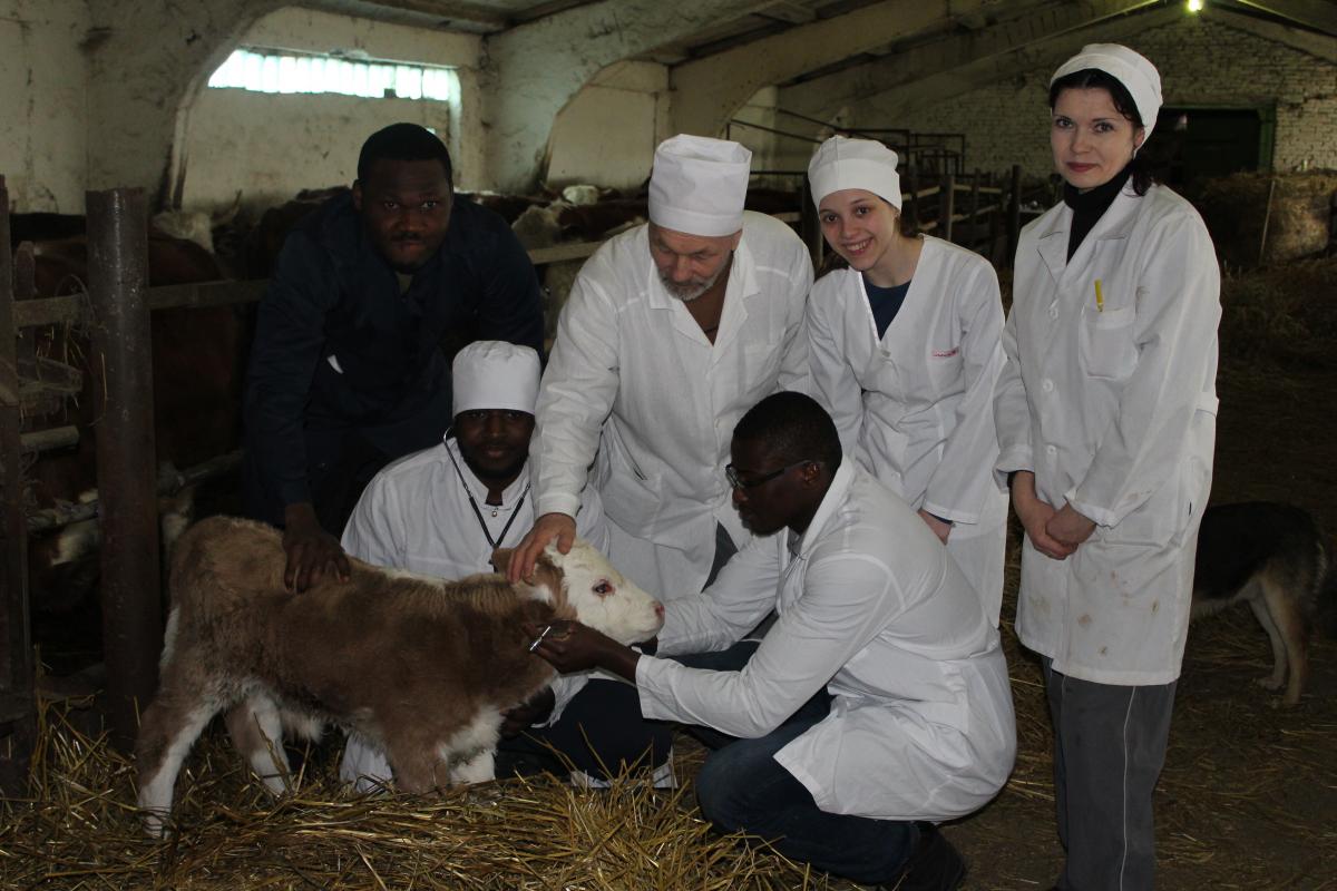 Клинический день в УПП «Экспериментальное животноводство». Фото 1