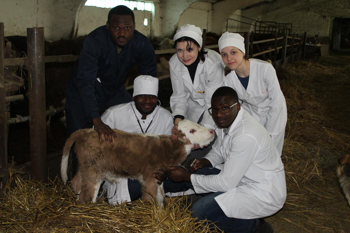 Клинический день в УПП «Экспериментальное животноводство». Фото 3