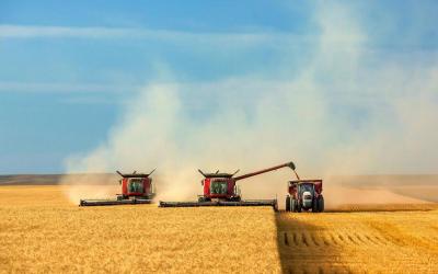 В Саратовской области собрано 5 млн тонн зерновых