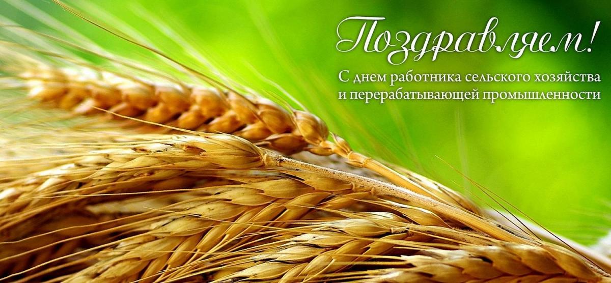 Саратовская область – лидер в ПФО по валовому сбору зерновых культур