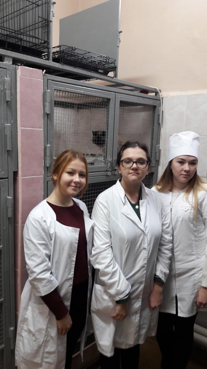 Студенты посетили УНТЦ "Ветеринарный госпиталь" УК № 3 СГАУ имени Н.И. Вавилова Фото 4