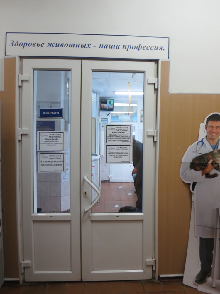 Студенты посетили УНТЦ "Ветеринарный госпиталь" УК № 3 СГАУ имени Н.И. Вавилова Фото 5