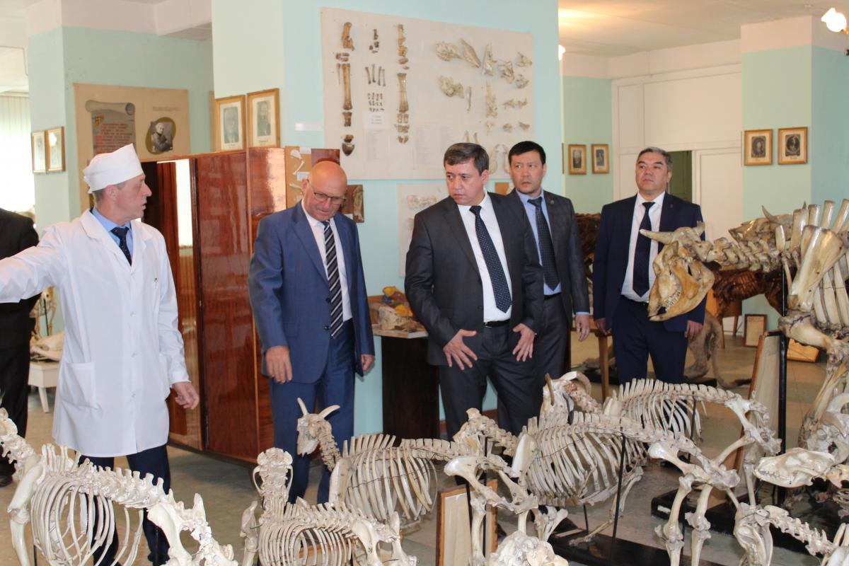 Визит делегации Ташкентского ГАУ Фото 9