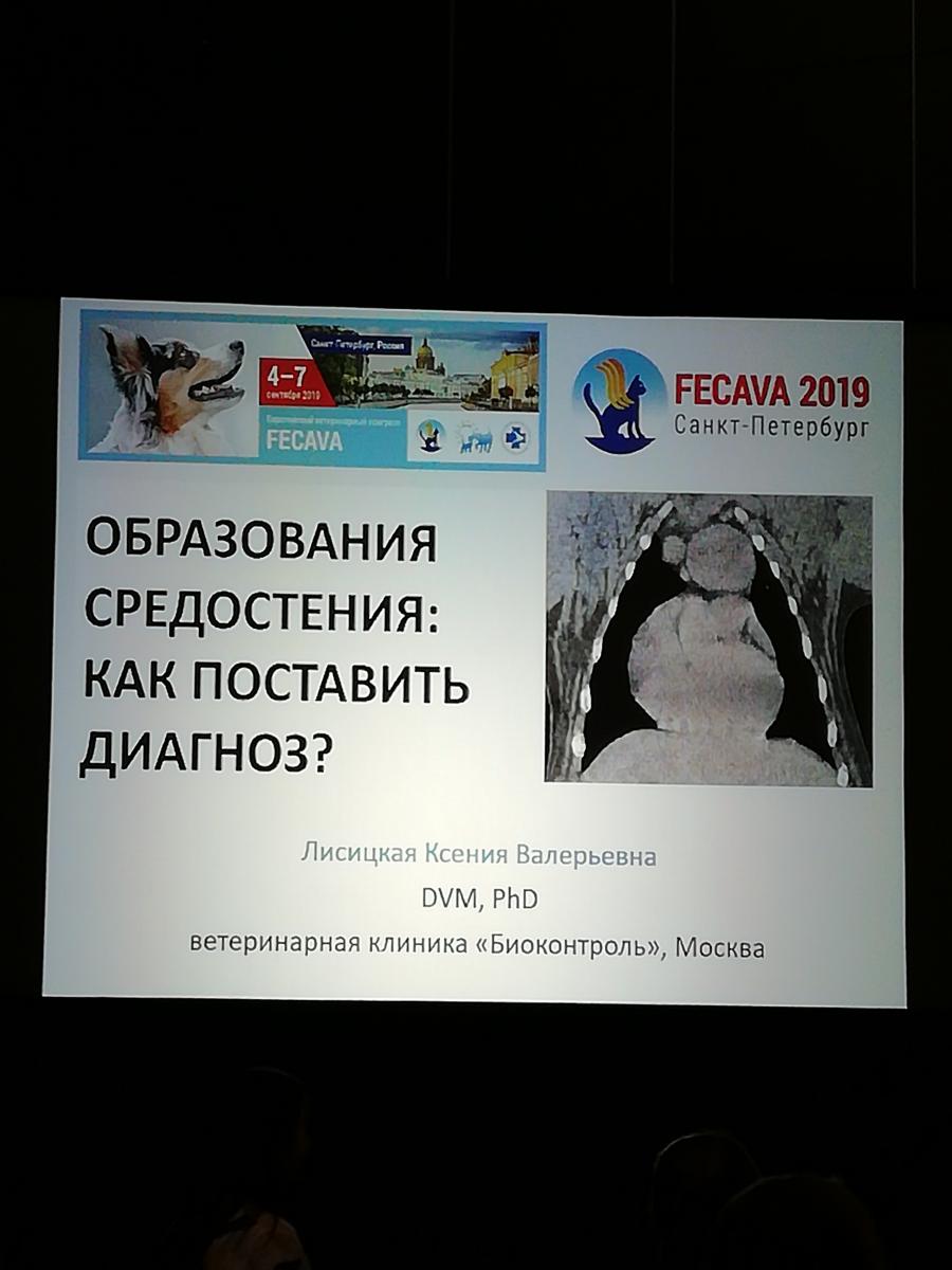 25-й Европейский ветеринарный конгресс Fecava 2019 - впервые в России Фото 5