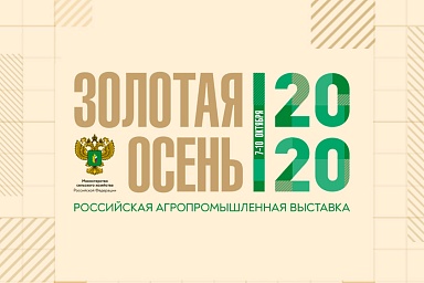 Выставка «Золотая осень - 2020» пройдет в онлайн-формате