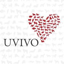 18 января в 11:00 компания UVIVO приглашает студентов СГАУ  на онлайн-встречу!. Фото 1