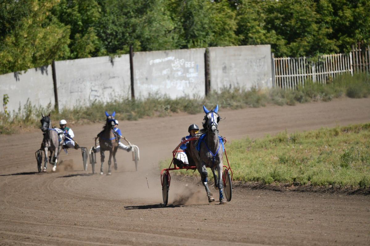 На Саратовском ипподроме прошли конно-спортивные соревнования на Кубок Губернатора области Фото 1