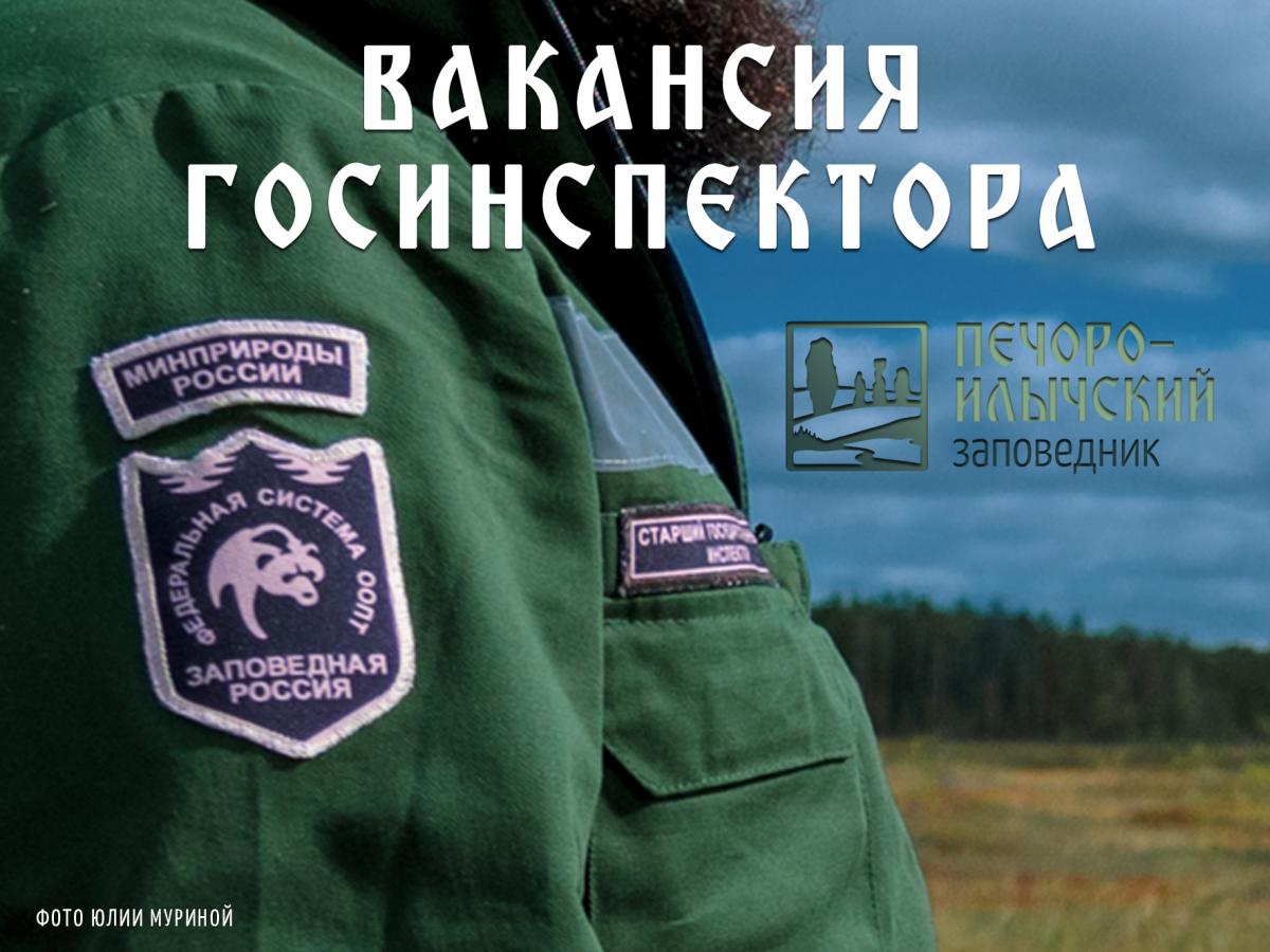 Печоро-Илычский заповедник приглашает на работу выпускников СГАУ направления подготовки Лесное дело