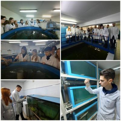 Практическое занятие на базе лаборатории  "Технологии кормления и выращивания рыбы"