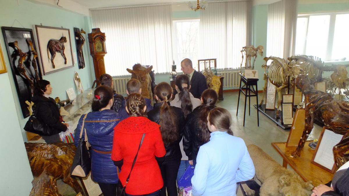 Профориентационная работа со школьниками Базарно - Карабулакского района Фото 3